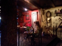 helenasrnec_kud-prasila-lit-vecer_denis-skofic-sprehajalec-ptic-12-junij-201412114