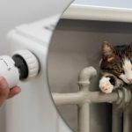 Skrivnost pametnih vodovodarjev: trik z baterijo takoj prihrani toploto Skrivnost pametnih vodovodarjev: trik z baterijo takoj prihrani toploto