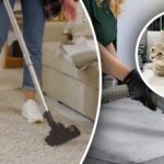 Za vami ne bo ostala niti ena sama sled: 7 korakov za odstranitev vonja po urinu s preproge Za vami ne bo ostala niti ena sama sled: 7